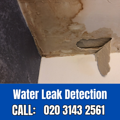 Expert Water Leak Detection Services in Upton Park | Upton Park Leak Detection
